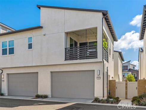 412  Flycatcher  , Irvine, CA