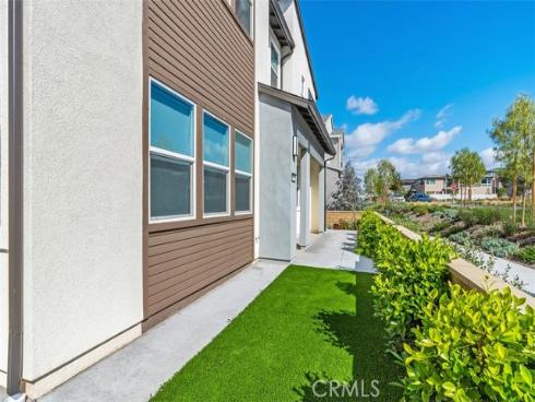 412  Flycatcher  , Irvine, CA