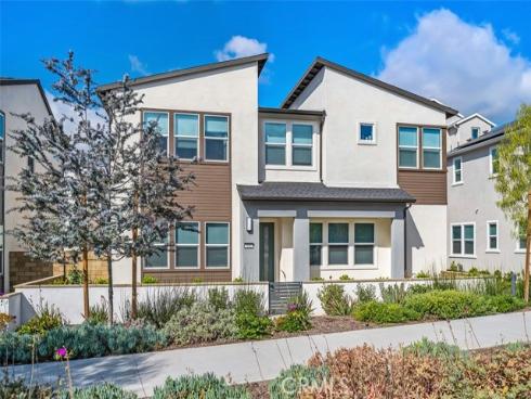 412  Flycatcher  , Irvine, CA