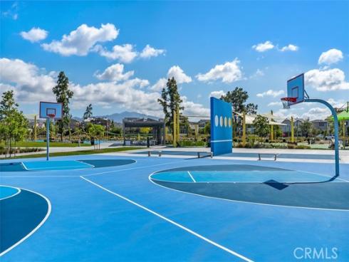 412  Flycatcher  , Irvine, CA