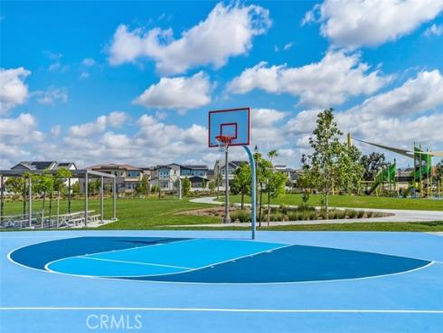 412  Flycatcher  , Irvine, CA