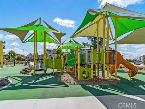 412  Flycatcher  , Irvine, CA