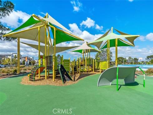 412  Flycatcher  , Irvine, CA