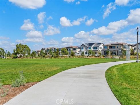 412  Flycatcher  , Irvine, CA