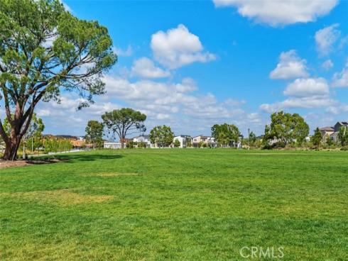 412  Flycatcher  , Irvine, CA