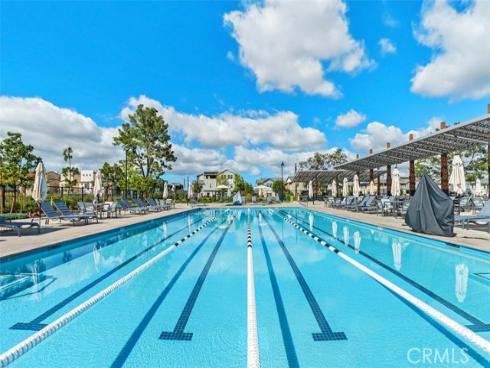 412  Flycatcher  , Irvine, CA