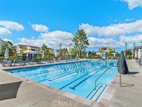 412  Flycatcher  , Irvine, CA