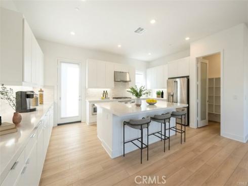 412  Flycatcher  , Irvine, CA