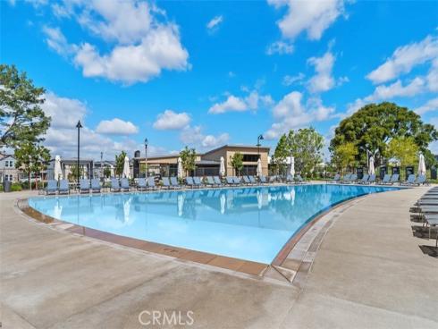 412  Flycatcher  , Irvine, CA