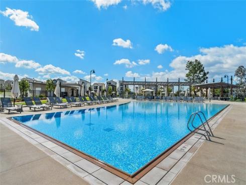 412  Flycatcher  , Irvine, CA