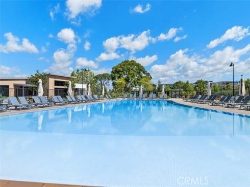 412  Flycatcher  , Irvine, CA