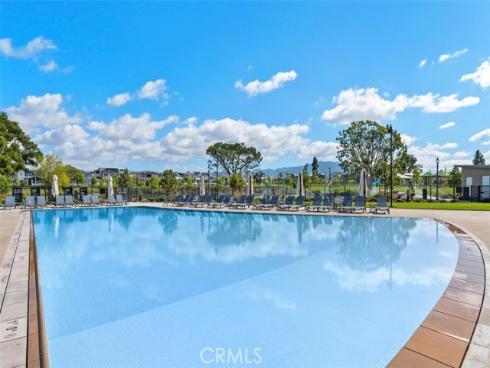 412  Flycatcher  , Irvine, CA