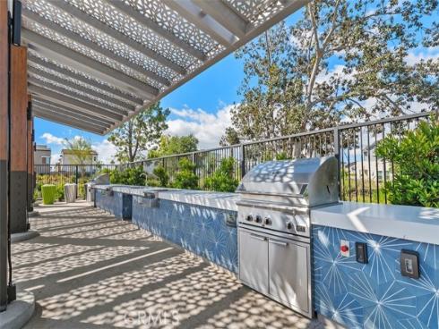 412  Flycatcher  , Irvine, CA