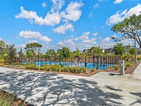 412  Flycatcher  , Irvine, CA