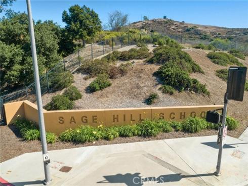 412  Flycatcher  , Irvine, CA