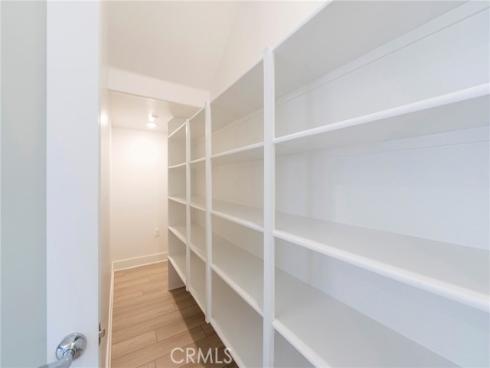 412  Flycatcher  , Irvine, CA