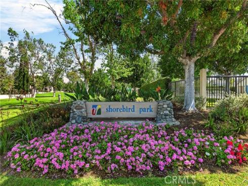 17  Clove Blossom  , Irvine, CA