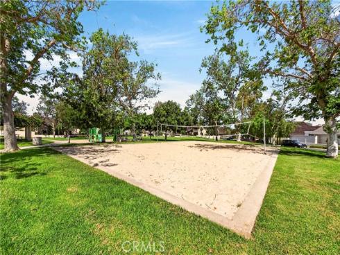 17  Clove Blossom  , Irvine, CA