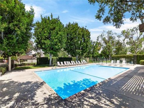 17  Clove Blossom  , Irvine, CA