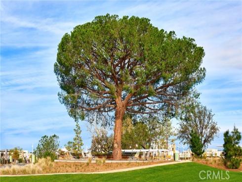 174 Scale , Irvine, CA