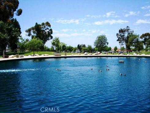 48  Monroe  , Irvine, CA