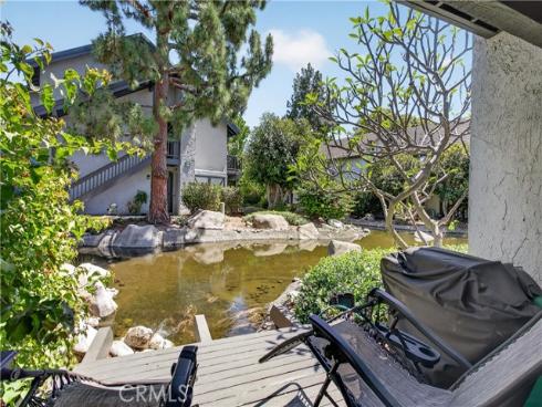 60  Orange Blossom  , Irvine, CA