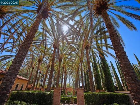217  Mantle  , Irvine, CA