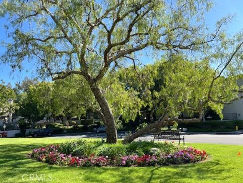 15 Starshine , Irvine, CA
