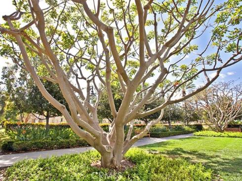 41 Serenity , Irvine, CA