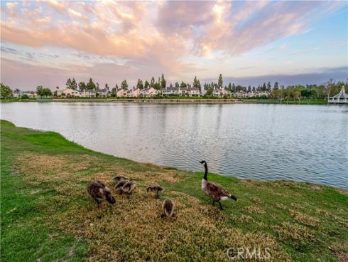 492 E Yale Loop  , Irvine, CA