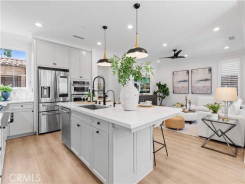 54 Painted Cameo , Irvine, CA