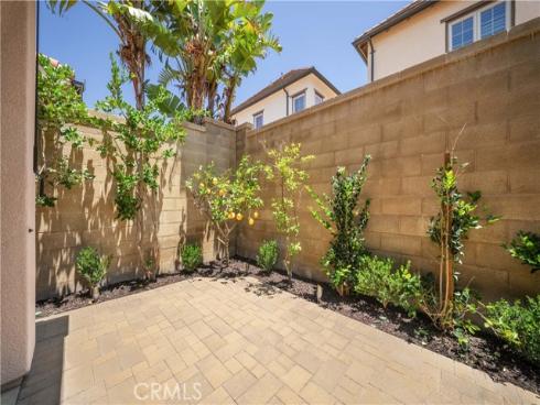81 Cactus Flower , Irvine, CA