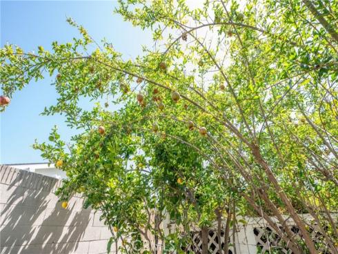 14862 Rattan Street, Irvine, CA