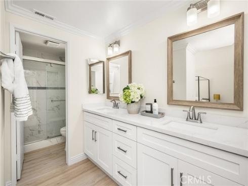 12 Blackswan , Irvine, CA