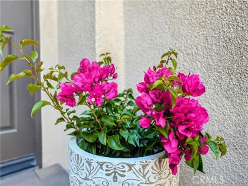8  Castlebar  , Irvine, CA