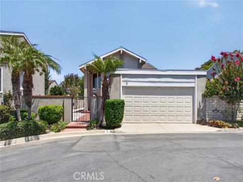 5  Tiger  , Irvine, CA
