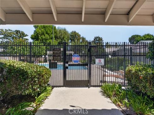 5  Tiger  , Irvine, CA