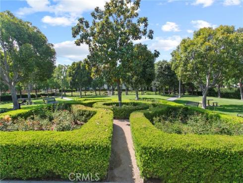 31  Dinuba  , Irvine, CA