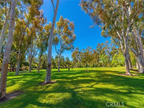 40  Morning View  , Irvine, CA
