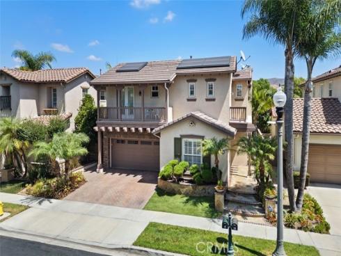 41 Carpenteria