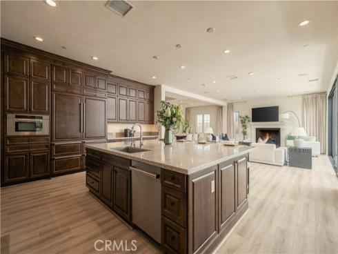 53 Eider Run , Irvine, CA