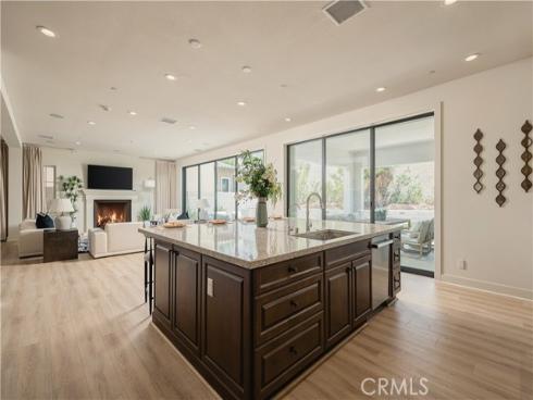 53 Eider Run , Irvine, CA