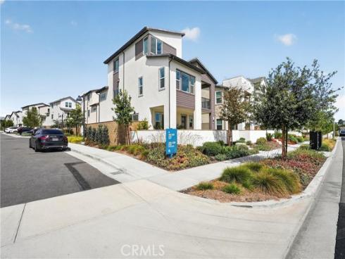 415  Flycatcher  , Irvine, CA