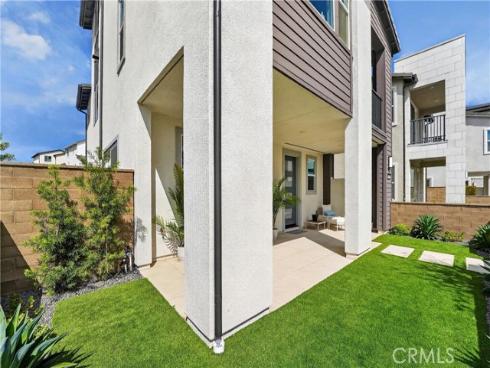 415  Flycatcher  , Irvine, CA