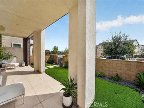 415  Flycatcher  , Irvine, CA