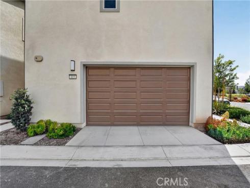 415  Flycatcher  , Irvine, CA