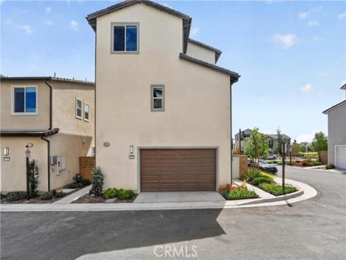 415  Flycatcher  , Irvine, CA