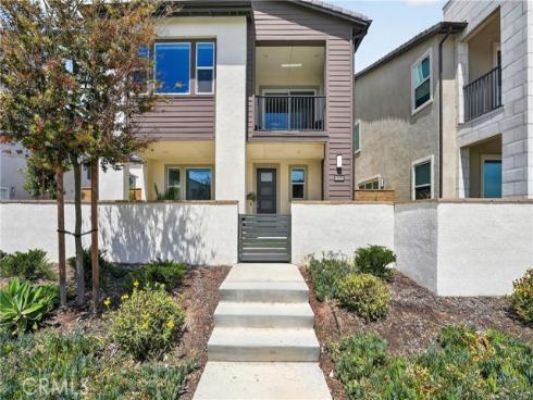 415  Flycatcher  , Irvine, CA