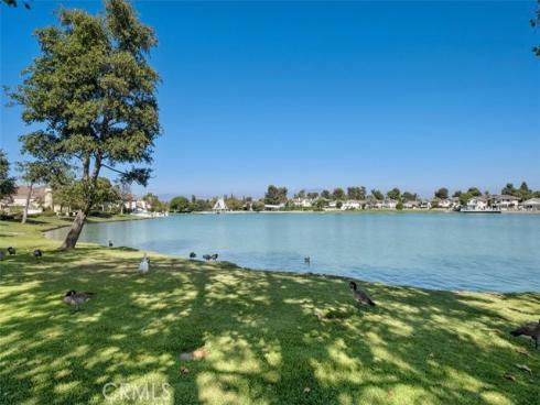 8 Woodfall , Irvine, CA