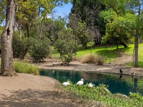 361 E Country Hills  , La Habra, CA